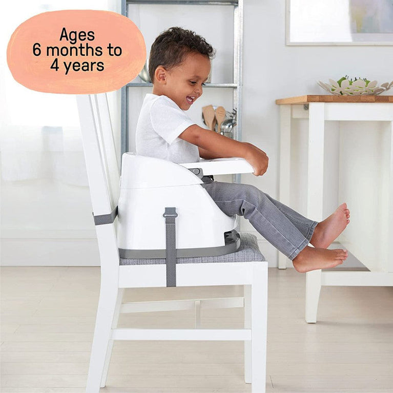 Ingenuity Baby Base 2-in-1 Seat - Slate