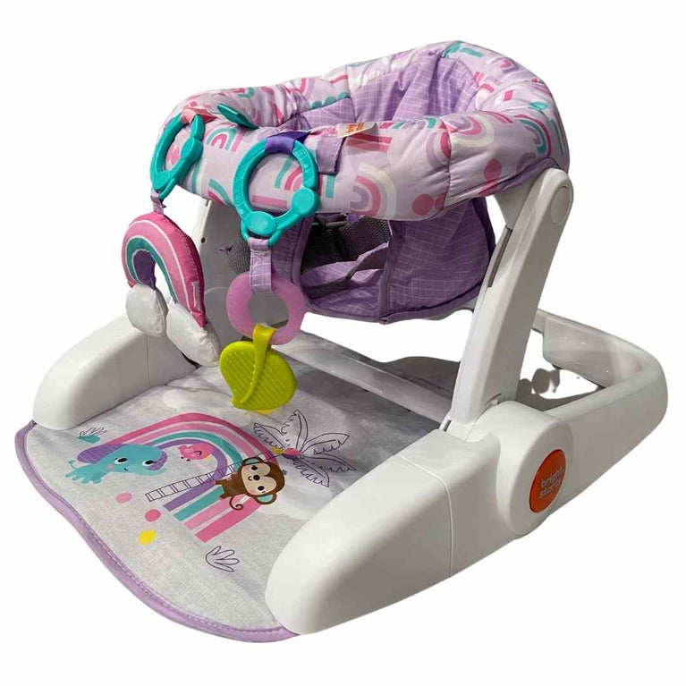 Bright Starts Learn-to-Sit Floor Seat - Purple Paradise