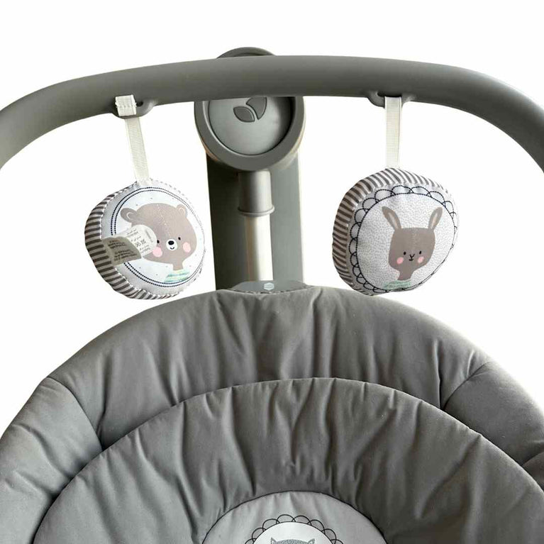 Joie Serina 2-In-1 Swing And Rocker - Grey