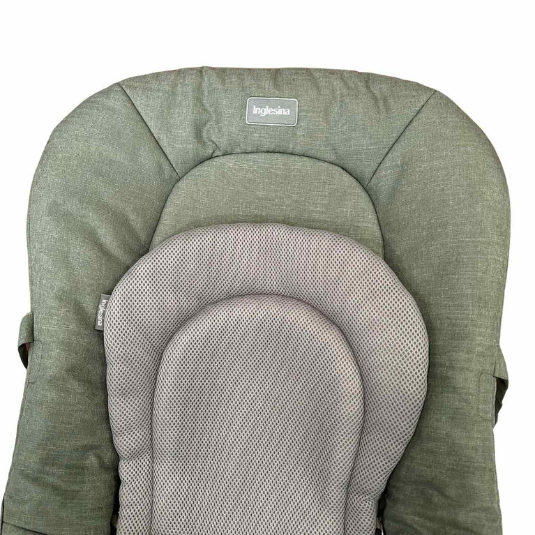 Inglesina Lounge Wellness Baby Rocker - Green