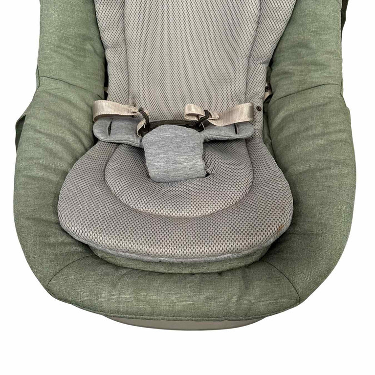 Inglesina Lounge Wellness Baby Rocker - Green