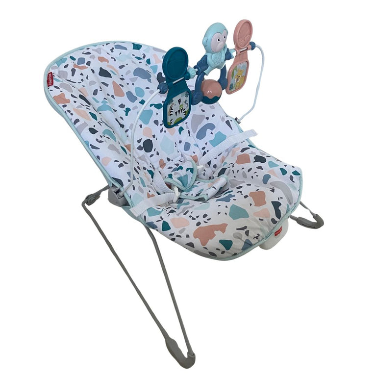 Fisher-Price Baby Bouncer - Pacific Pebble