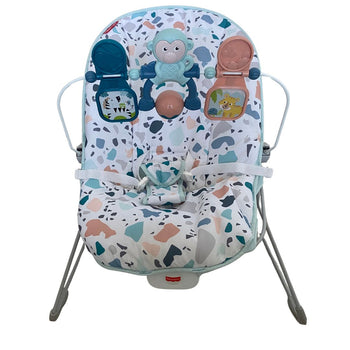 Fisher-Price Baby Bouncer - Pacific Pebble