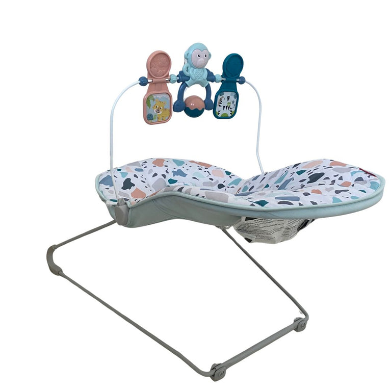 Fisher-Price Baby Bouncer - Pacific Pebble