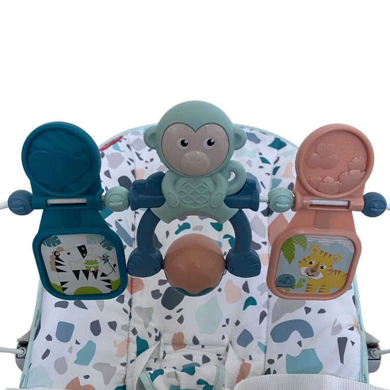 Fisher-Price Baby Bouncer - Pacific Pebble