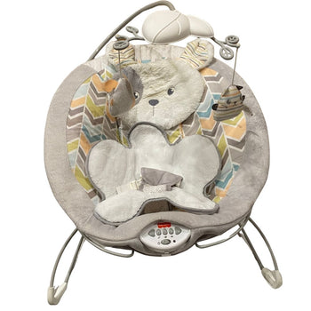 Fisher-Price Sweet Snugapuppy Deluxe Bouncer