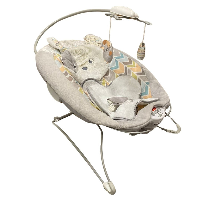 Fisher-Price Sweet Snugapuppy Deluxe Bouncer