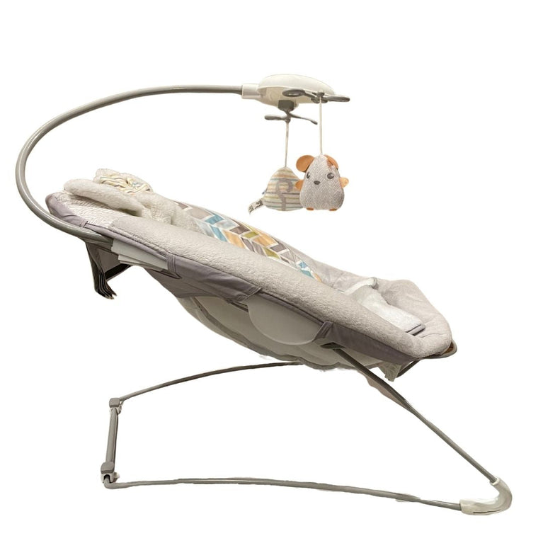 Fisher-Price Sweet Snugapuppy Deluxe Bouncer