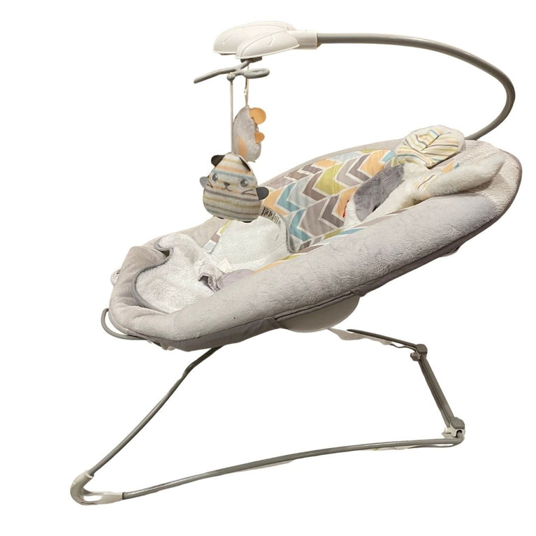 Fisher-Price Sweet Snugapuppy Deluxe Bouncer