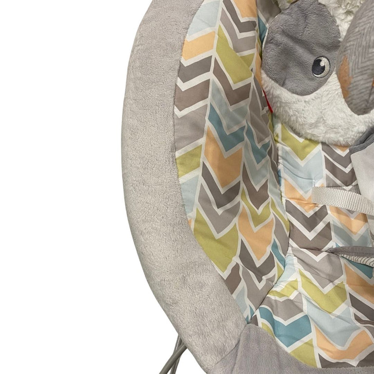 Fisher-Price Sweet Snugapuppy Deluxe Bouncer