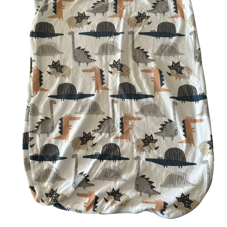 Ricochet Baby Sleep Bag Size 2 (18-24m) - Dino